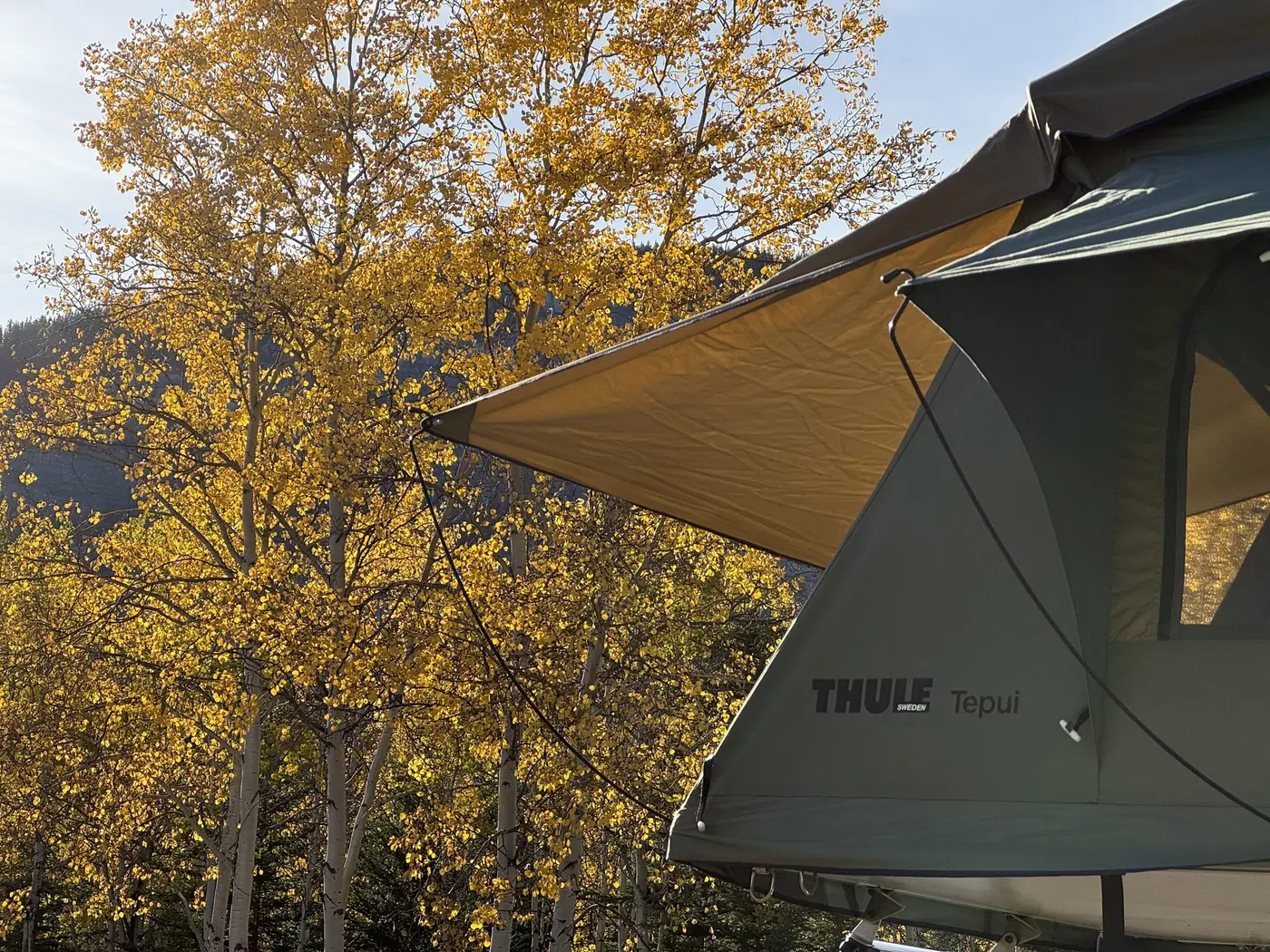 Thule Tepui rooftop tent open at a campsite